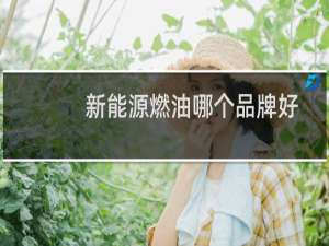 新能源燃油哪个品牌好