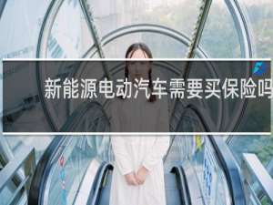 新能源电动汽车需要买保险吗