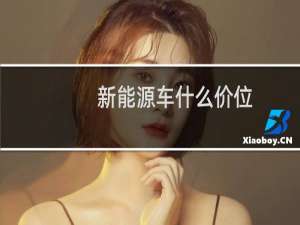 新能源车什么价位