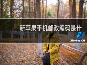 新苹果手机邮政编码是什么意思