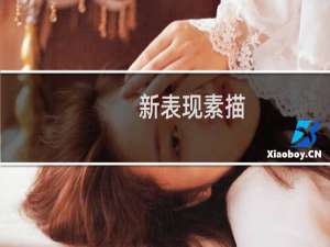新表现素描(关于新表现素描的简介)