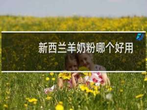 新西兰羊奶粉哪个好用