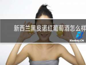 新西兰黑皮诺红葡萄酒怎么样