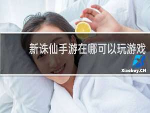 新诛仙手游在哪可以玩游戏