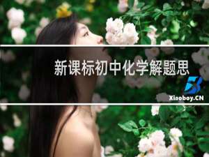 新课标初中化学解题思维方法(关于新课标初中化学解题思维方法的简介)