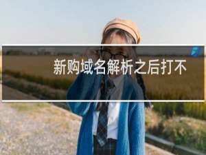 新购域名解析之后打不开-域名及账户问题