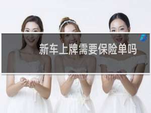 新车上牌需要保险单吗