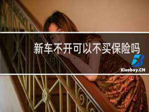 新车不开可以不买保险吗
