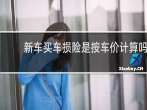 新车买车损险是按车价计算吗