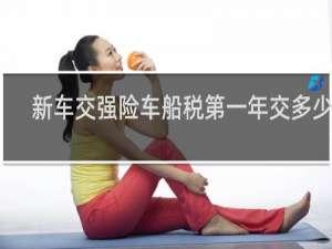 新车交强险车船税第一年交多少钱