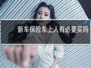 新车保险车上人有必要买吗