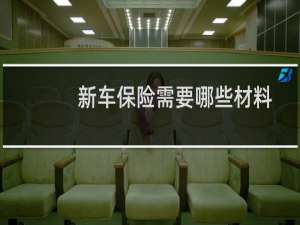 新车保险需要哪些材料
