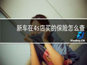 新车在4s店买的保险怎么查