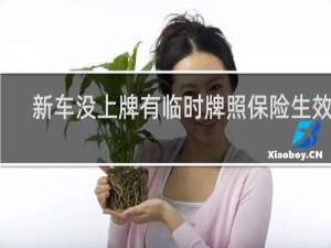 新车没上牌有临时牌照保险生效吗
