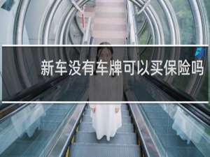 新车没有车牌可以买保险吗