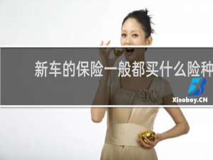 新车的保险一般都买什么险种
