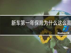 新车第一年保险为什么这么高