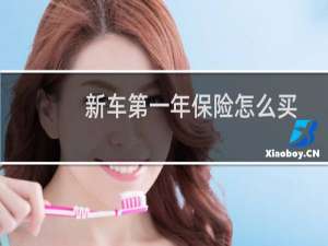 新车第一年保险怎么买