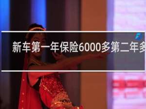 新车第一年保险6000多第二年多少