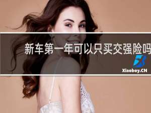新车第一年可以只买交强险吗