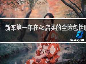 新车第一年在4s店买的全险包括哪些