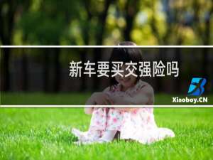 新车要买交强险吗