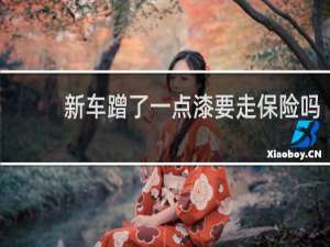 新车蹭了一点漆要走保险吗