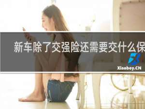 新车除了交强险还需要交什么保险