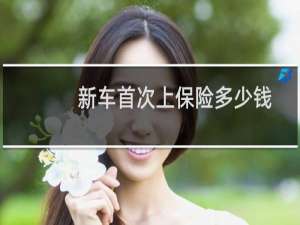 新车首次上保险多少钱