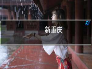 新重庆(关于新重庆的简介)