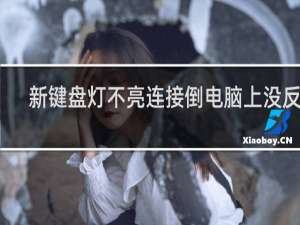 新键盘灯不亮连接倒电脑上没反应