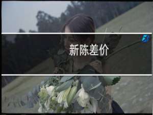 新陈差价(关于新陈差价的简介)