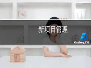 新项目管理(关于新项目管理的简介)