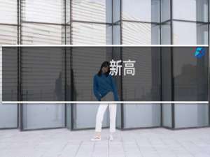 新高/低累积指数(关于新高/低累积指数的简介)