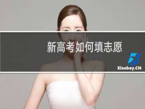 新高考如何填志愿