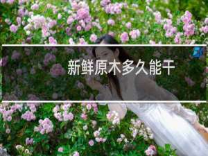 新鲜原木多久能干