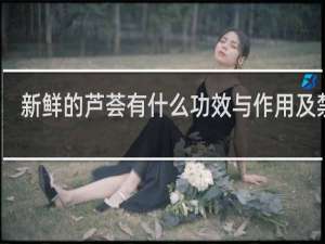 新鲜的芦荟有什么功效与作用及禁忌