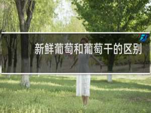 新鲜葡萄和葡萄干的区别