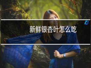 新鲜银杏叶怎么吃