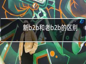 新b2b和老b2b的区别