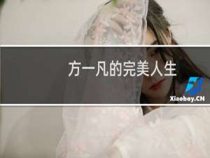 方一凡的完美人生(关于方一凡的完美人生的简介)