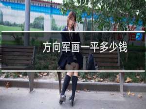 方向军画一平多少钱