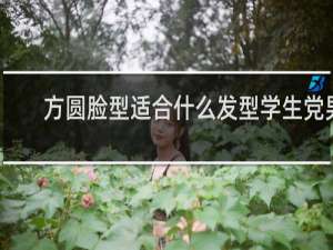 方圆脸型适合什么发型学生党男