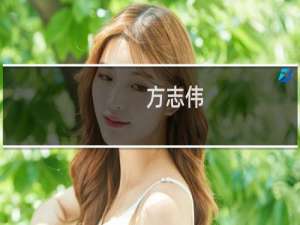 方志伟(关于方志伟的简介)