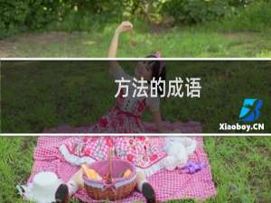 方法的成语
