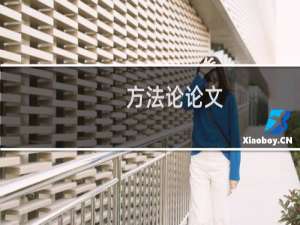 方法论论文