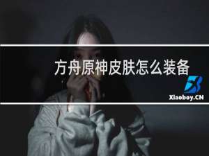 方舟原神皮肤怎么装备