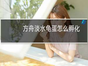 方舟淡水龟蛋怎么孵化