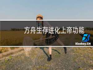 方舟生存进化上帝功能