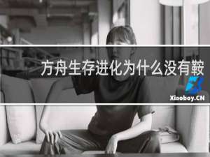 方舟生存进化为什么没有鞍